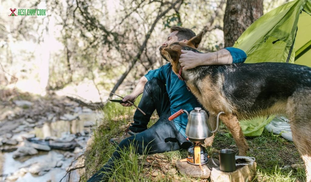 Choosing the Right Campsite for Your Dog's Comfort