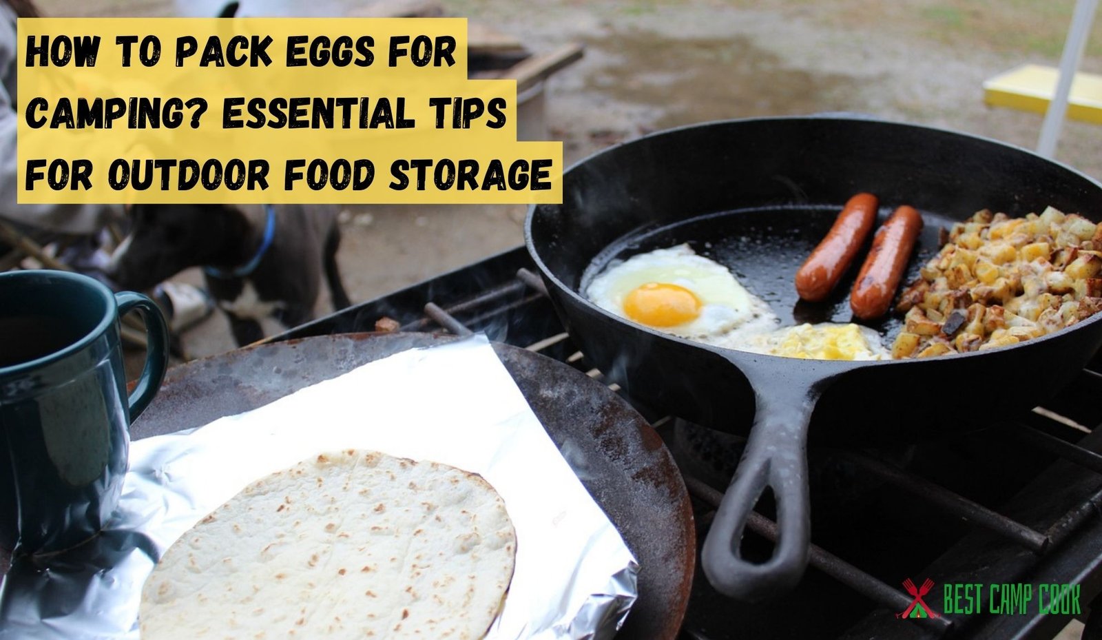 How to Pack Eggs for Camping Comprehensive guide