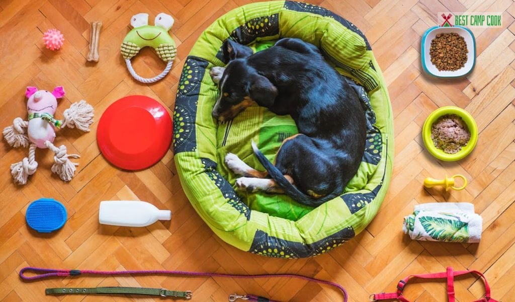 Packing Essential Gear for Dog Cooling