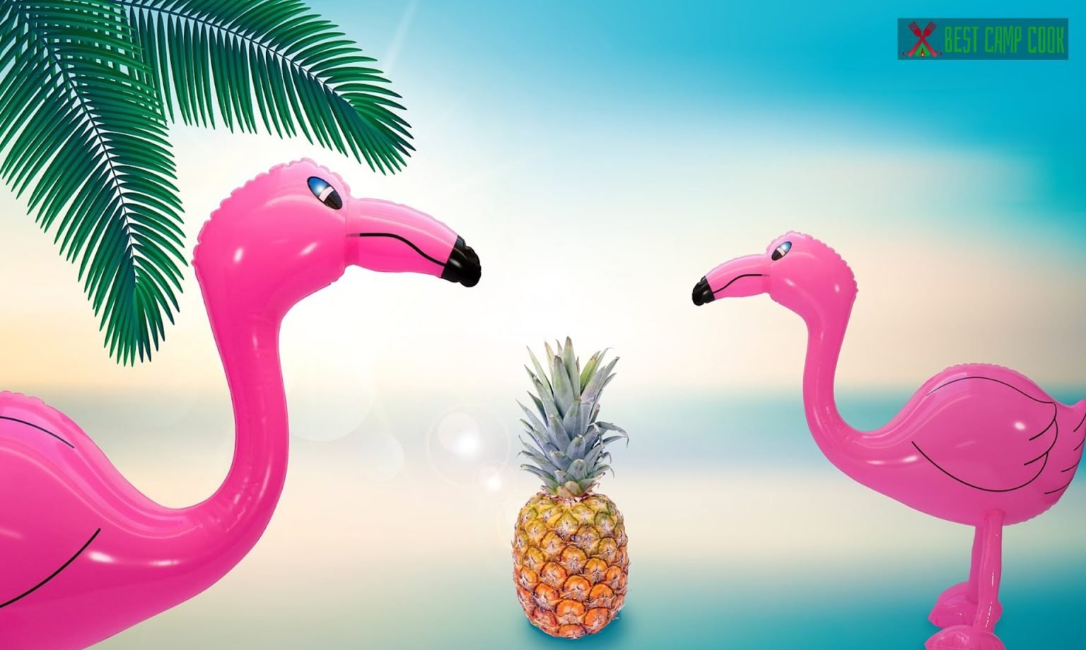 What do flamingos and pineapples mean when camping?
