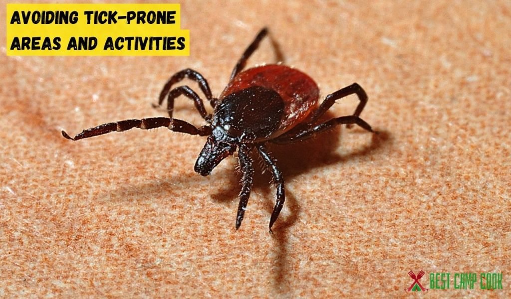Avoiding Tick-Prone Areas and Activities