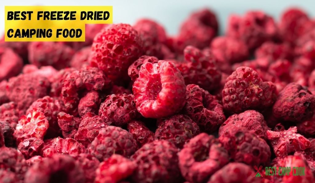 Ultimate Guide The Best Freeze Dried Camping Food to Choose