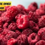Best Freeze Dried Camping Food