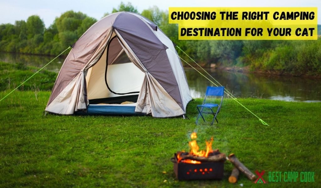 Choosing the Right Camping Destination for Your Cat
