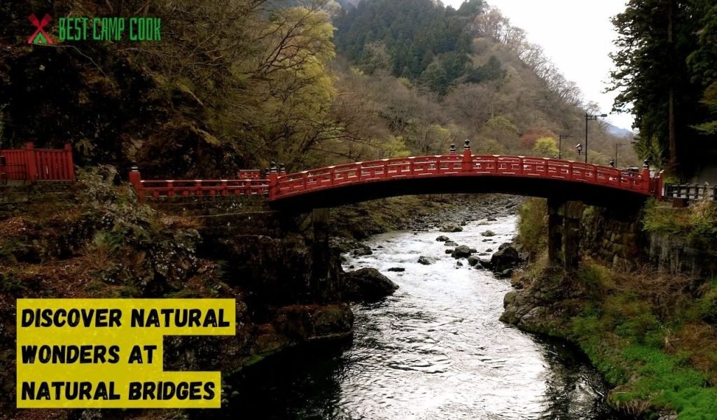 Discover Natural Wonders at Natural Bridges