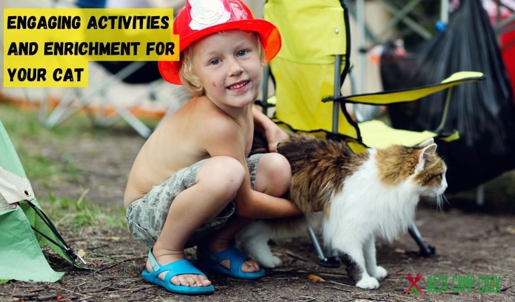 Engaging Activities and Enrichment for Your Cat
