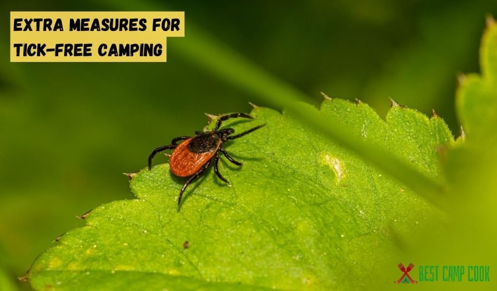 Extra Measures for Tick-Free Camping