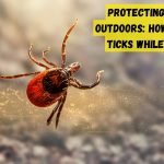 How to Avoid Ticks While Camping