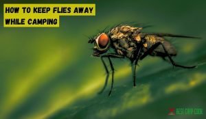 How to keep flies away while camping