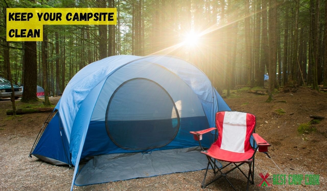 How to Keep Bugs Away When Camping? Bug-Proof Your Campsite