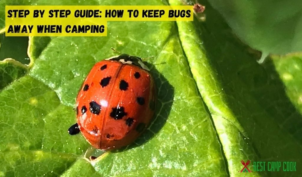 Step by Step Guide: How to Keep Bugs Away When Camping