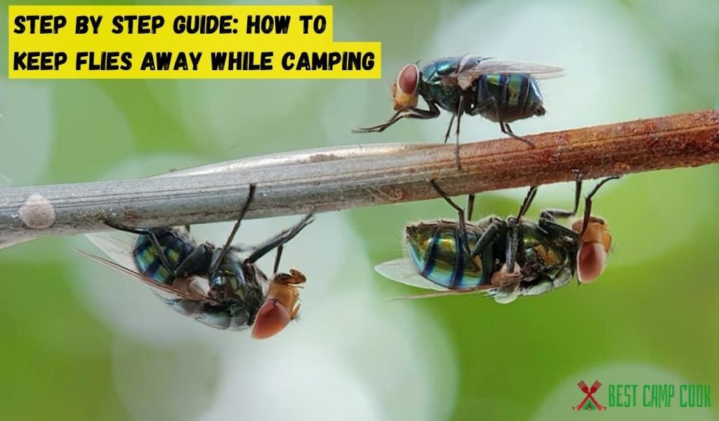 Step by Step Guide: How to keep flies away while camping