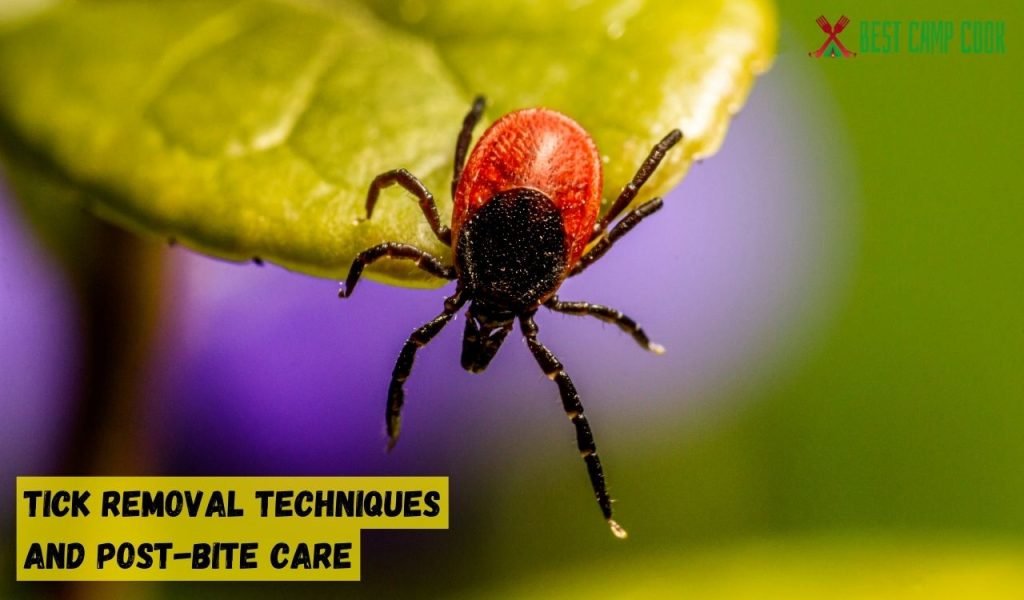 Tick Removal Techniques and Post-Bite Care