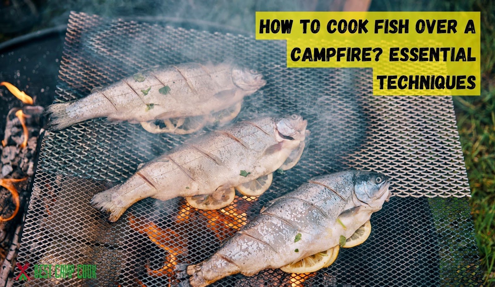 How to Cook Fish Over a Campfire